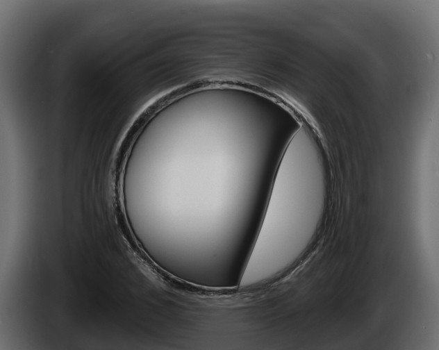 X0000086020976200703230929