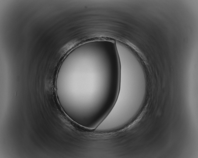 X0000086020977200703230929