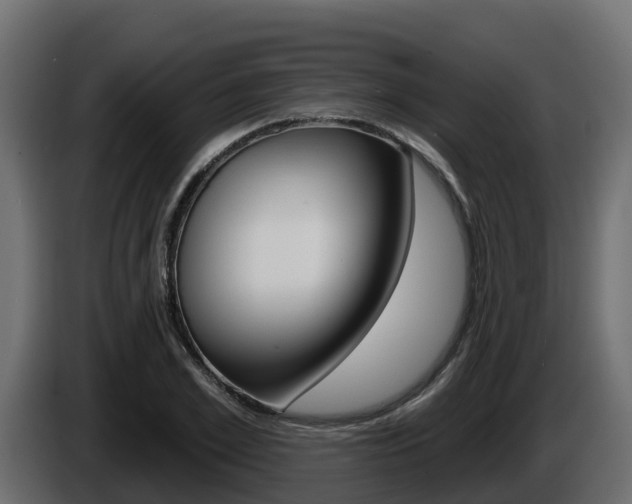 X0000086020981200703230929