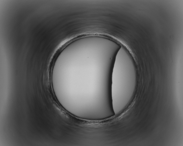X0000086020982200703230929