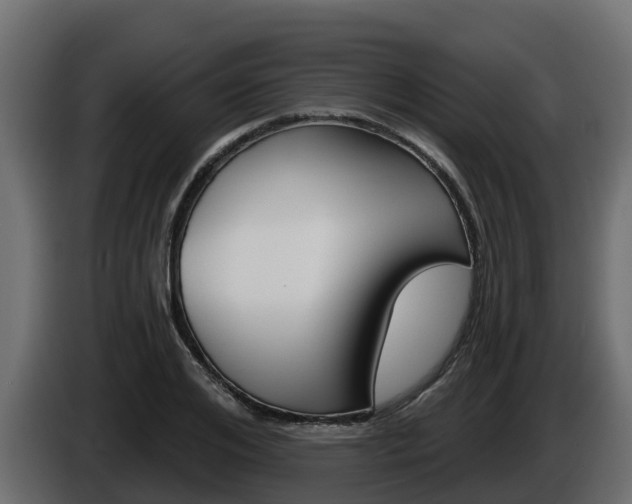 X0000086020984200703230929