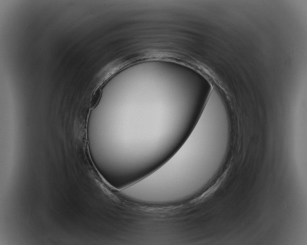 X0000086020985200703230929
