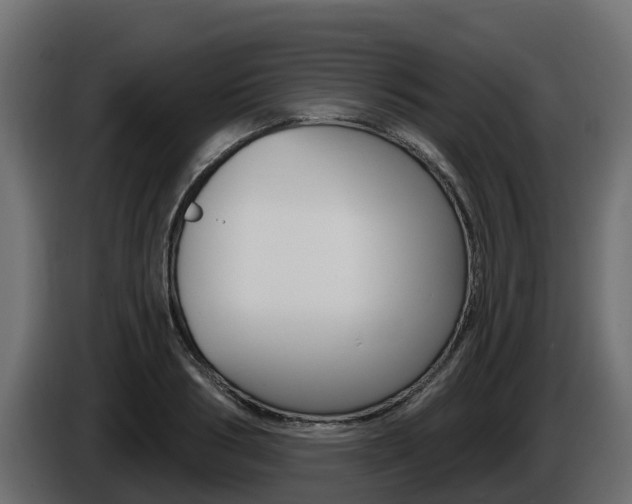 X0000086020986200703230929