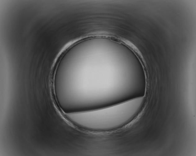 X0000086020989200703230929