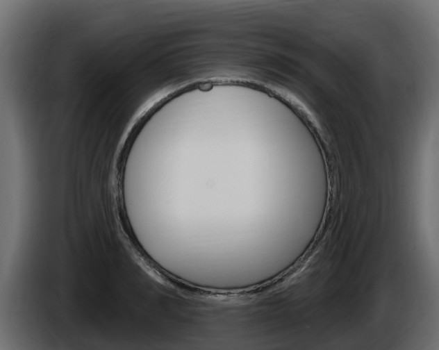 X0000086020990200703230929