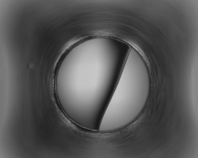 X0000086020992200703230929