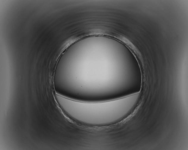 X0000086020993200703230929