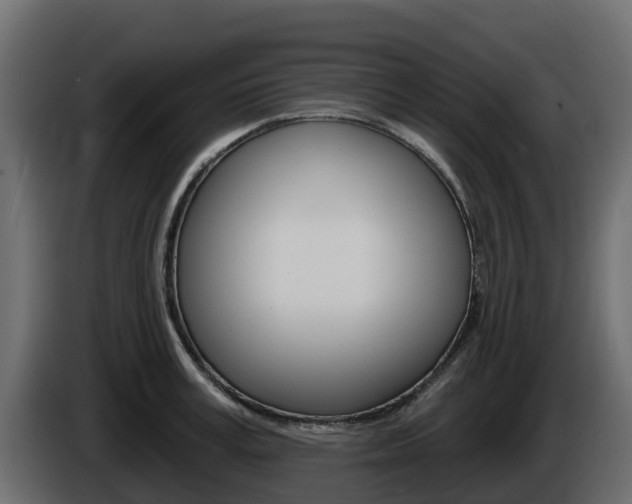 X0000086020995200703230929