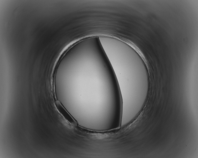 X0000086020996200703230929