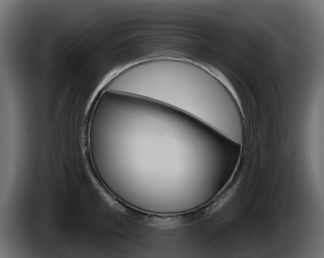 X0000086020997200703230929