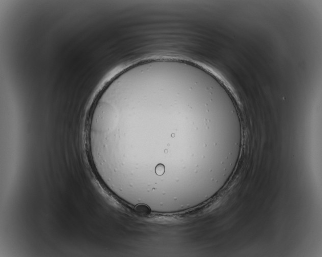 X0000086020998200703230929