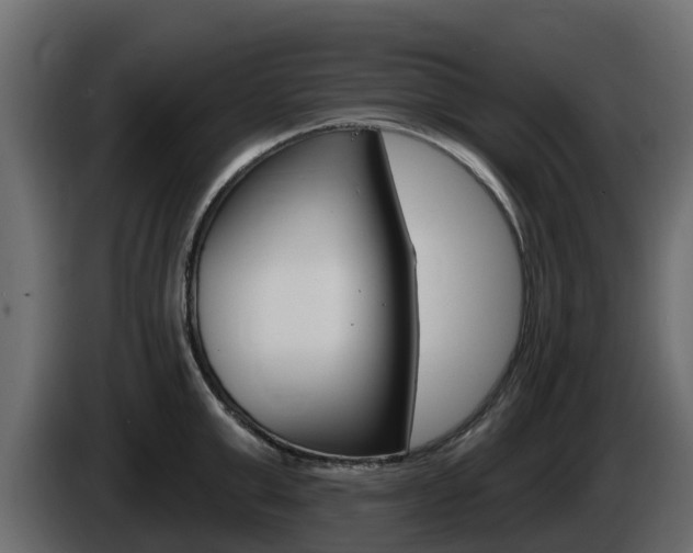 X0000086020999200703230928