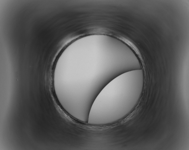 X0000086021000200703230928