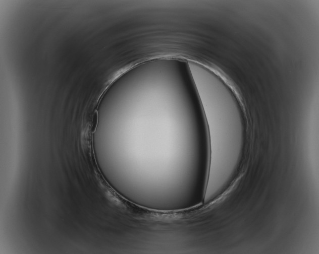 X0000086021001200703230928