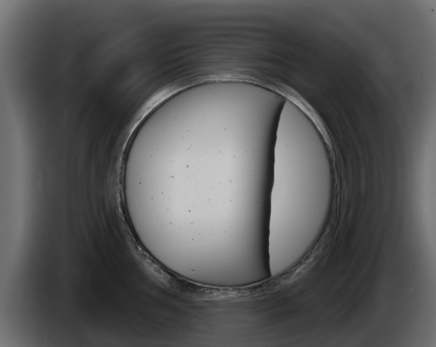 X0000086021002200703230928