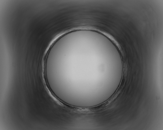 X0000086021006200703230928