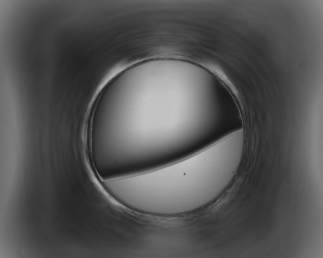 X0000086021007200703230928