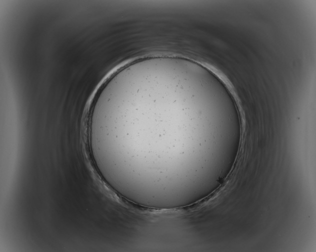 X0000086021008200703230928