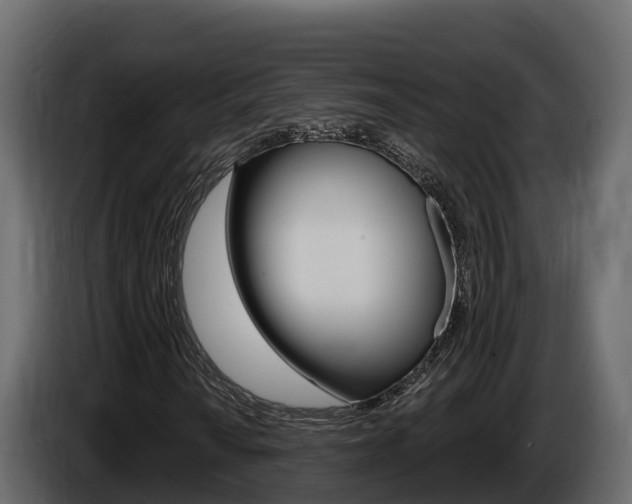 X0000086021010200703230928