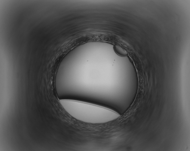 X0000086021013200703230928