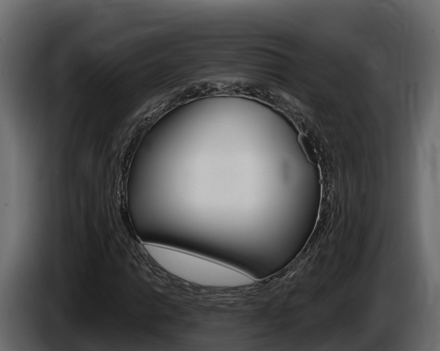 X0000086021014200703230928
