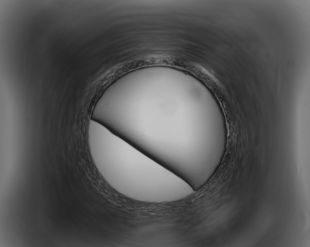X0000086021015200703230928