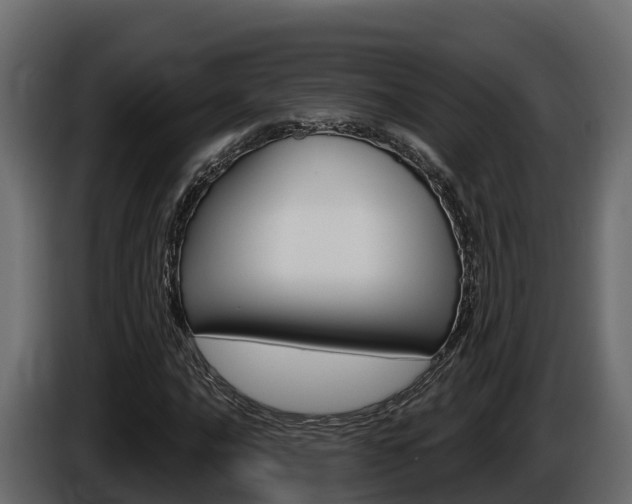X0000086021016200703230928