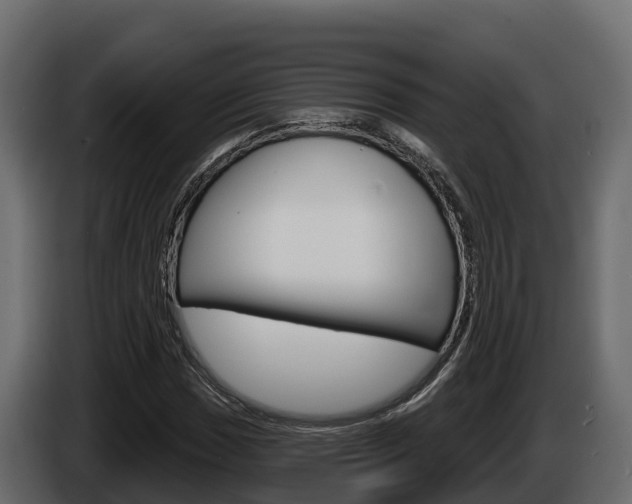 X0000086021017200703230928
