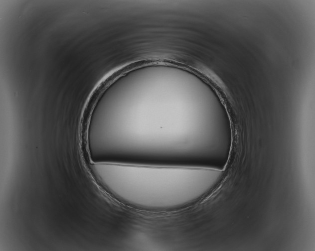 X0000086021020200703230928