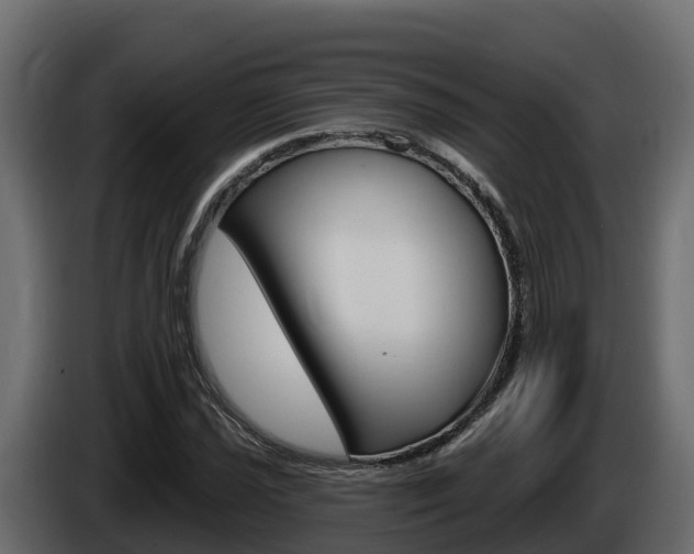 X0000086021021200703230928