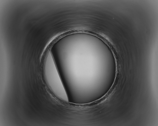 X0000086021022200703230928