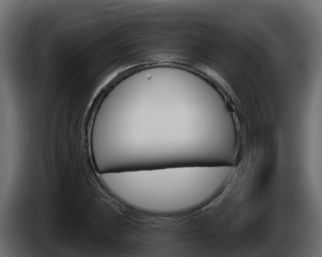 X0000086021023200703230928