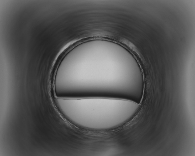 X0000086021024200703230928