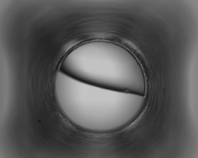 X0000086021025200703230928