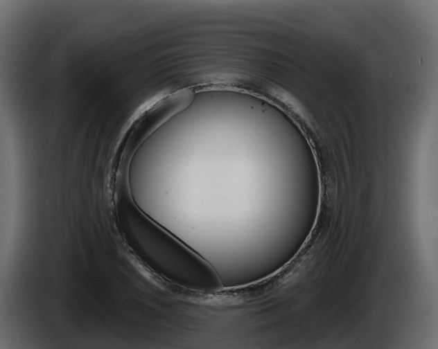 X0000086021026200703230928
