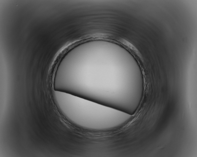 X0000086021027200703230928