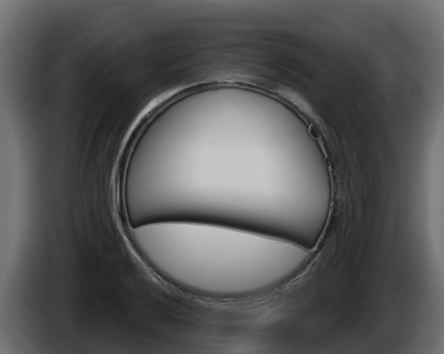X0000086021032200703230928