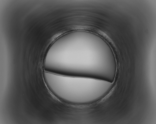 X0000086021033200703230928