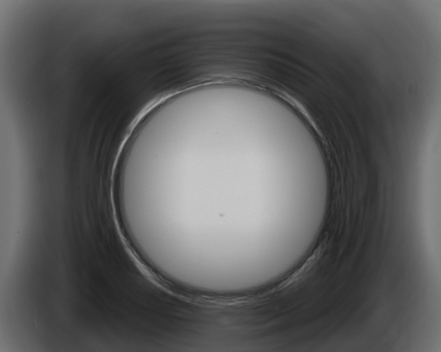 X0000086021034200703230928