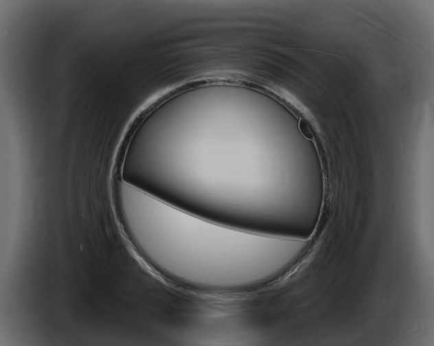 X0000086021037200703230928