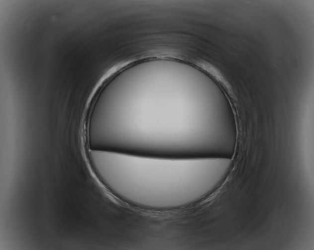 X0000086021040200703230928