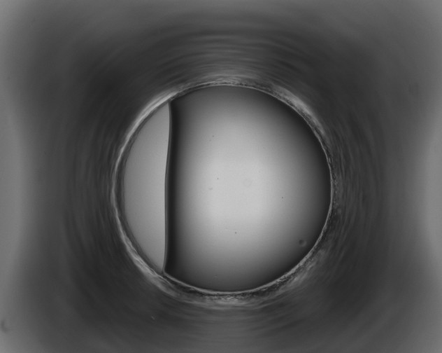 X0000086021042200703230928