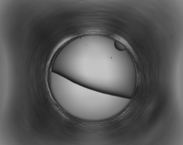 X0000086021043200703230928