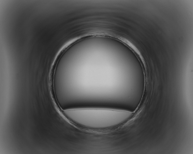X0000086021045200703230928