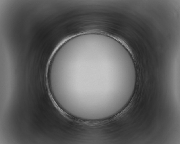 X0000086021046200703230928