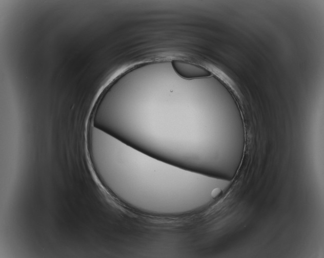 X0000086021047200703230928