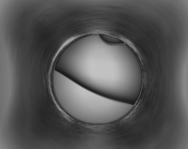 X0000086021048200703230928