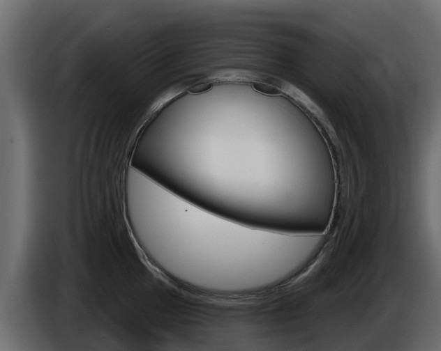 X0000086021049200703230928