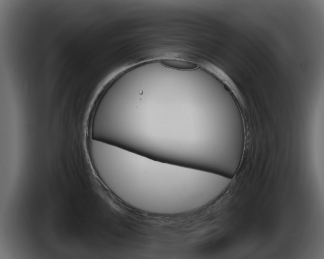 X0000086021051200703230928
