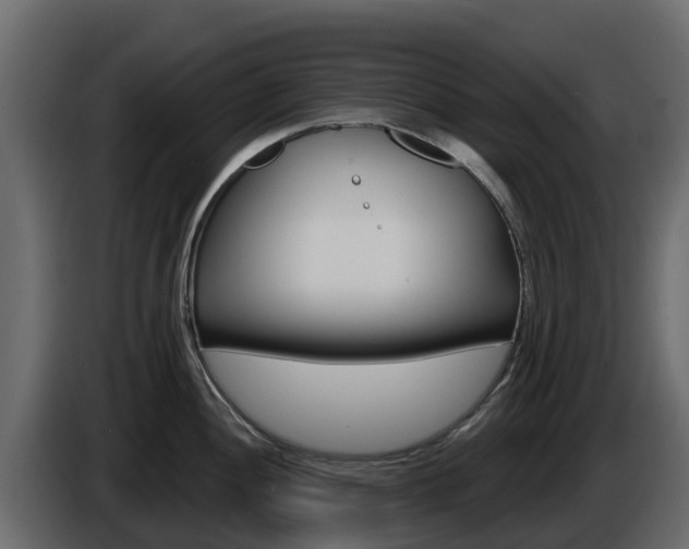 X0000086021052200703230928